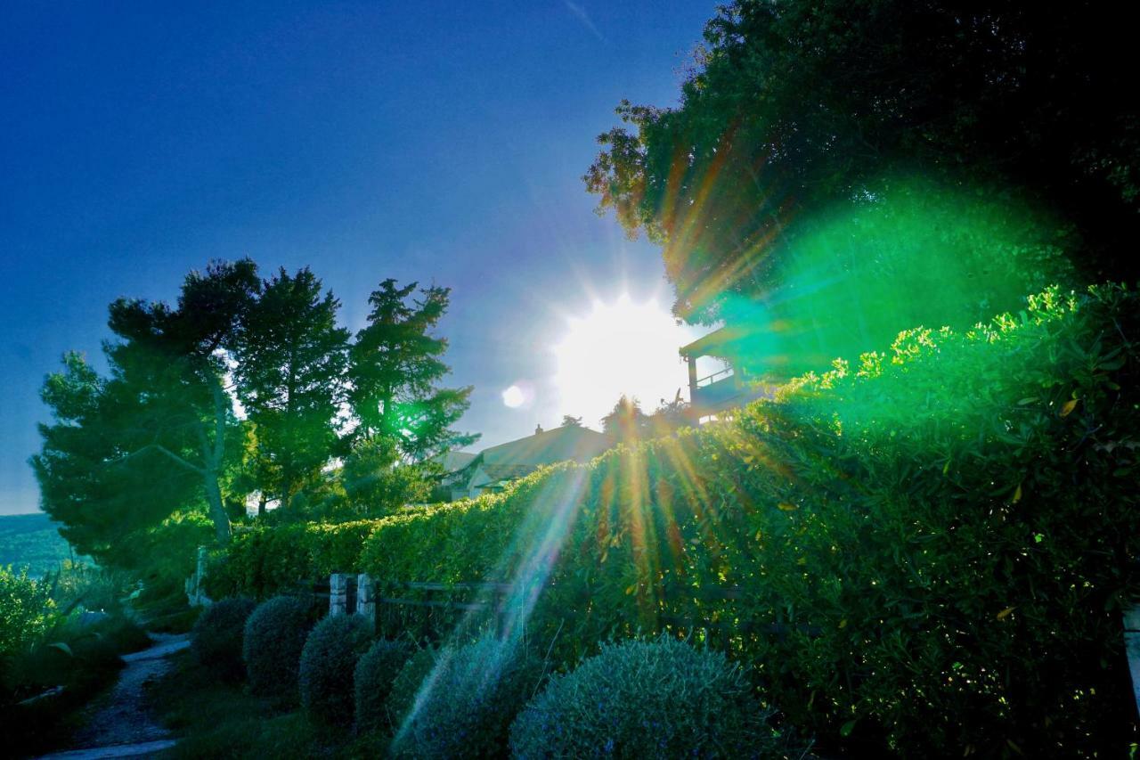 Maria Holiday Home Seget Vranjica Kültér fotó